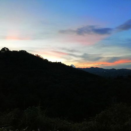 Отель Glamping La Montana Sagrada Медельин Экстерьер фото